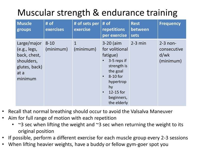 Benefits of muscular endurance muscular strength